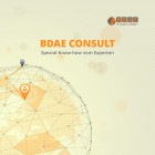 BDAE_Consult_Broschuere.pdf